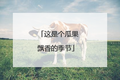 这是个瓜果飘香的季节