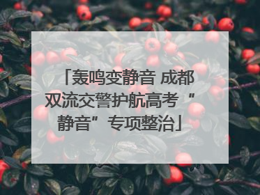 轰鸣变静音 成都双流交警护航高考“静音”专项整治
