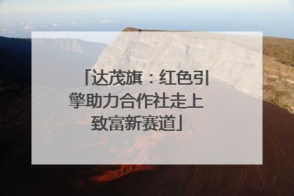 达茂旗：红色引擎助力合作社走上致富新赛道