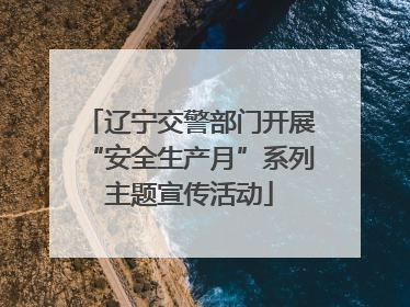 辽宁交警部门开展“安全生产月”系列主题宣传活动