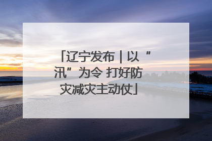 辽宁发布｜以“汛”为令 打好防灾减灾主动仗