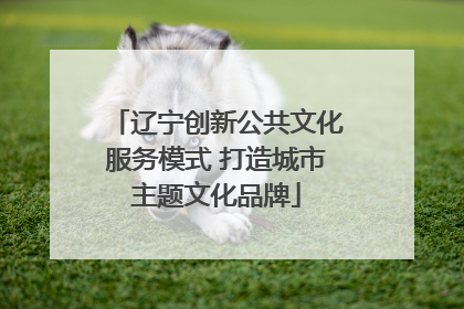 辽宁创新公共文化服务模式 打造城市主题文化品牌
