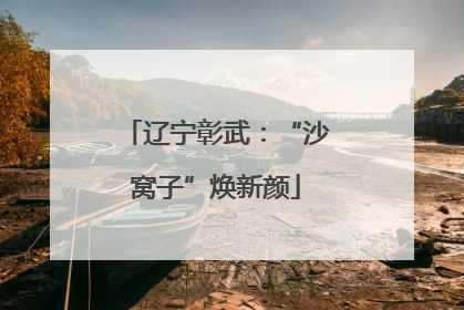 辽宁彰武：“沙窝子”焕新颜