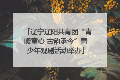 辽宁辽阳共青团“青暖童心 古韵承今”青少年观剧活动举办