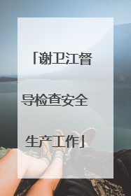 谢卫江督导检查安全生产工作