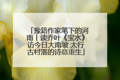 豫籍作家笔下的河南丨读乔叶《宝水》访今日大南坡 太行古村落的诗意重生