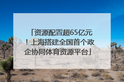 资源配置超65亿元！上海搭建全国首个政企协同体育资源平台
