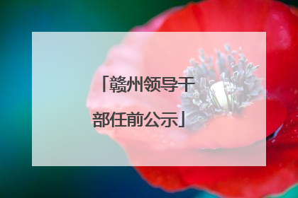 赣州领导干部任前公示