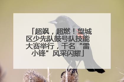 超飒，超燃！望城区少先队鼓号队技能大赛举行，千名“雷小锋”风采闪耀
