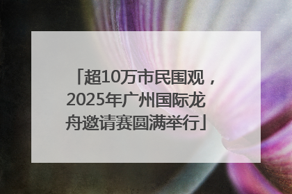 超10万市民围观，2025年广州国际龙舟邀请赛圆满举行