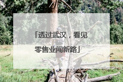 透过武汉，看见零售业闯新路