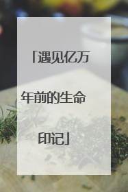 遇见亿万年前的生命印记