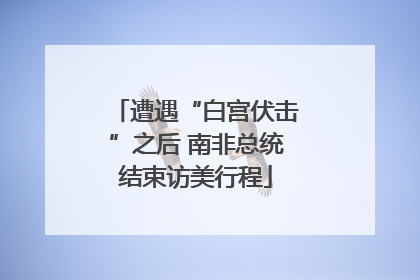 遭遇“白宫伏击”之后 南非总统结束访美行程