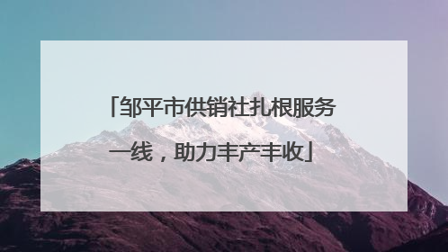 邹平市供销社扎根服务一线，助力丰产丰收