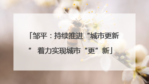 邹平：持续推进“城市更新” 着力实现城市“更”新
