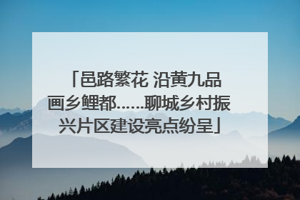 邑路繁花 沿黄九品 画乡鲤都……聊城乡村振兴片区建设亮点纷呈