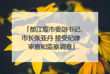 都江堰市委副书记、市长张亚丹 接受纪律审查和监察调查