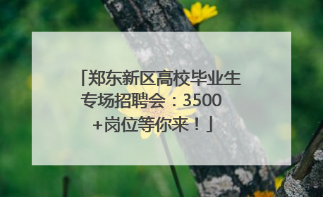 郑东新区高校毕业生专场招聘会：3500+岗位等你来！