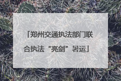 郑州交通执法部门联合执法“亮剑”暑运