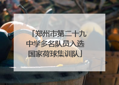 郑州市第二十九中学多名队员入选国家荷球集训队