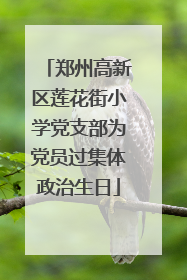 郑州高新区莲花街小学党支部为党员过集体政治生日