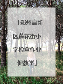 郑州高新区莲花街小学检查作业促教学