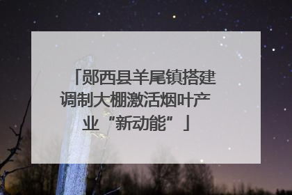 郧西县羊尾镇搭建调制大棚激活烟叶产业“新动能”