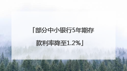 部分中小银行5年期存款利率降至1.2%