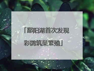 鄱阳湖首次发现彩鹮筑巢繁殖