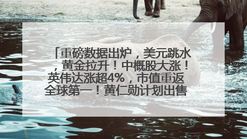 重磅数据出炉，美元跳水，黄金拉升！中概股大涨！英伟达涨超4%，市值重返全球第一！黄仁勋计划出售至多600万股股票
