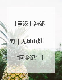 重返上海郊野｜无斑雨蛙“回乡记”