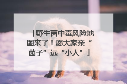 野生菌中毒风险地图来了！愿大家亲“菌子”远“小人”