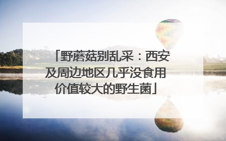 野蘑菇别乱采：西安及周边地区几乎没食用价值较大的野生菌