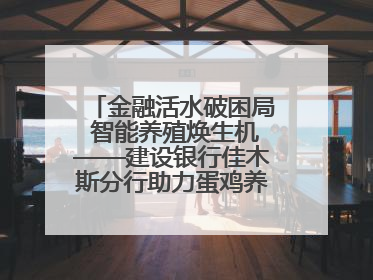 金融活水破困局 智能养殖焕生机——建设银行佳木斯分行助力蛋鸡养殖突围