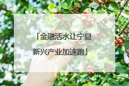 金融活水让宁夏新兴产业加速跑