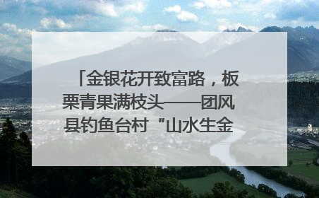 金银花开致富路，板栗青果满枝头——团风县钓鱼台村“山水生金”谱写共富新篇章