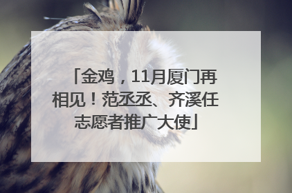 金鸡，11月厦门再相见！范丞丞、齐溪任志愿者推广大使