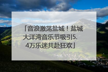 音浪激荡盐城！盐城大洋湾音乐节吸引5.4万乐迷共赴狂欢