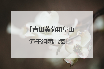 青田黄菊和阜山笋干组团出海
