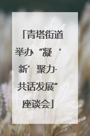 青塔街道举办“凝‘新’聚力·共话发展”座谈会