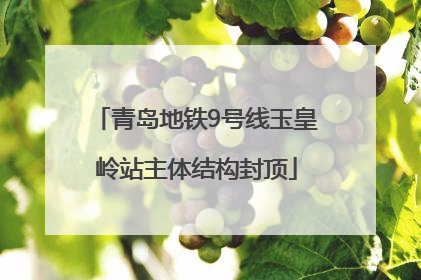 青岛地铁9号线玉皇岭站主体结构封顶