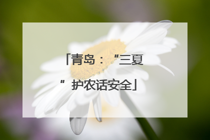 青岛：“三夏”护农话安全