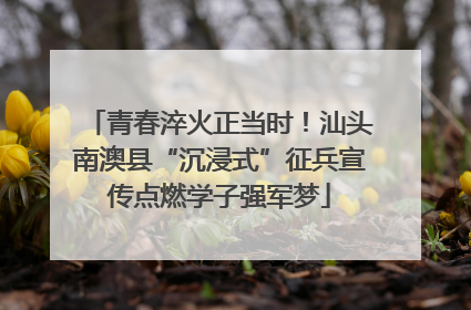 青春淬火正当时！汕头南澳县“沉浸式”征兵宣传点燃学子强军梦