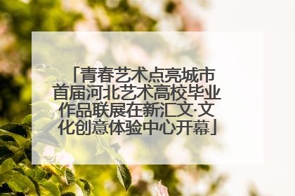 青春艺术点亮城市 首届河北艺术高校毕业作品联展在新汇文·文化创意体验中心开幕