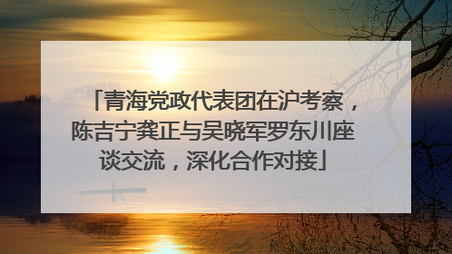 青海党政代表团在沪考察，陈吉宁龚正与吴晓军罗东川座谈交流，深化合作对接
