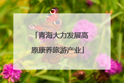 青海大力发展高原康养旅游产业