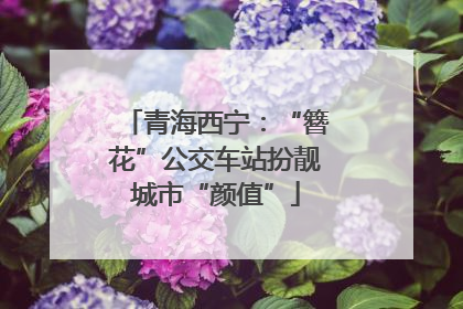 青海西宁：“簪花”公交车站扮靓城市“颜值”