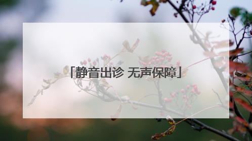 静音出诊 无声保障