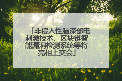 非侵入性脑深部电刺激技术、区块链智能漏洞检测系统等将亮相上交会