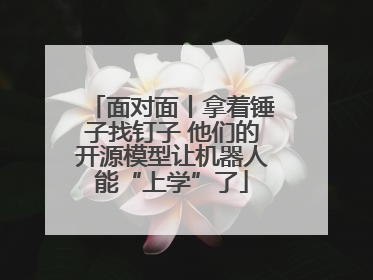 面对面丨拿着锤子找钉子 他们的开源模型让机器人能“上学”了
